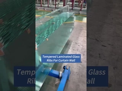 Curtain Walls Facade Tempered Laminated Glass Ribs